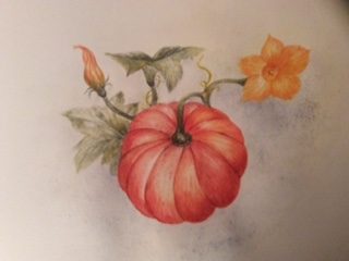 Dorothy, Pumpkin, watercolour.